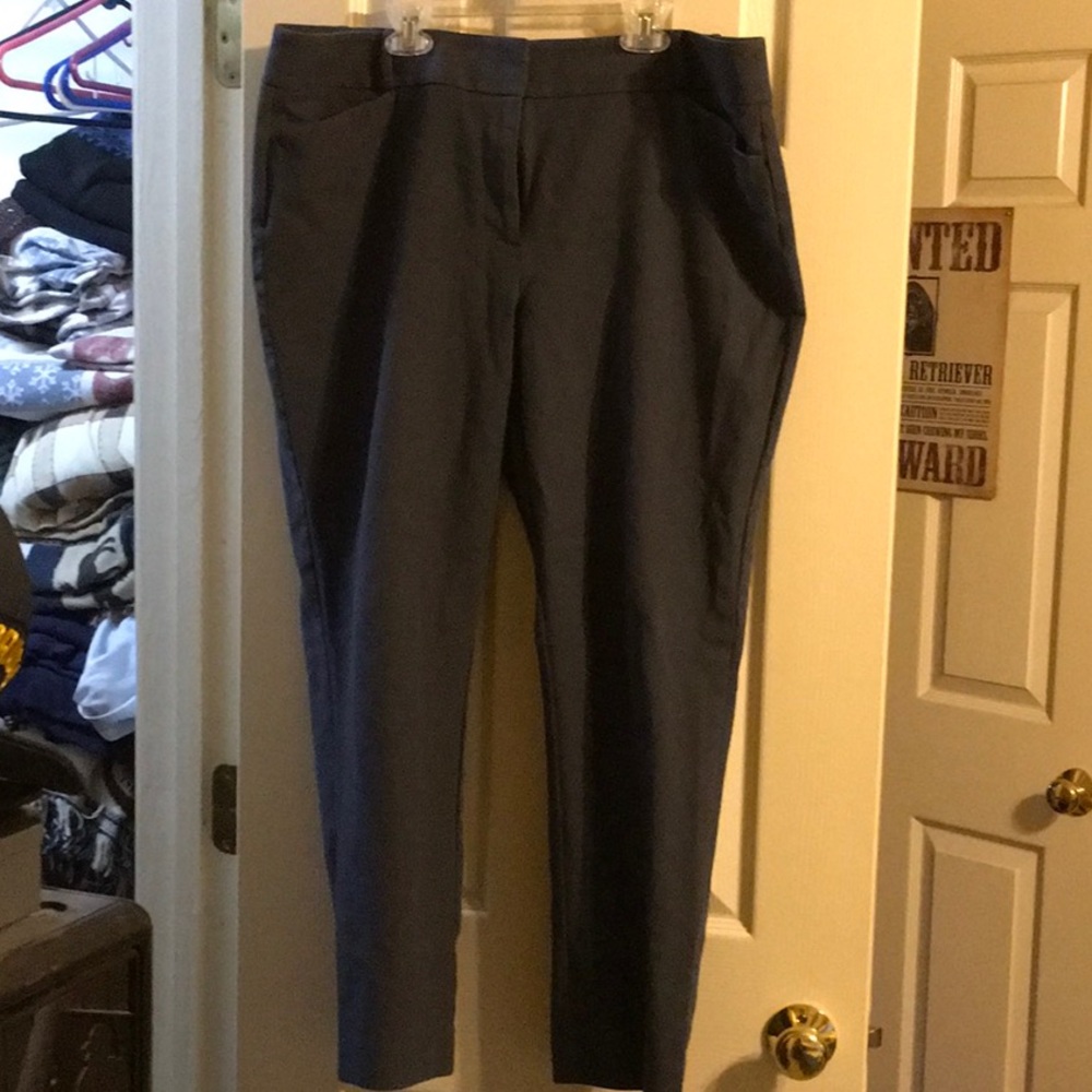 Loft pants